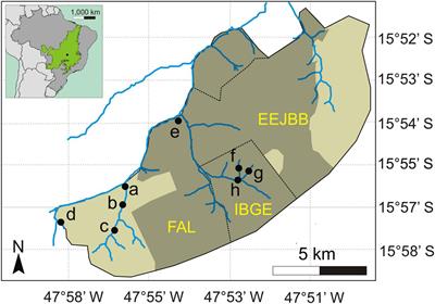 Fire Occurrence Mediates Small-Mammal Seed Removal of Native Tree Species in a Neotropical Savanna
